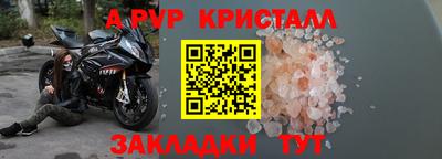 прущие грибы Заводоуковск