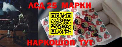 прущие грибы Заводоуковск