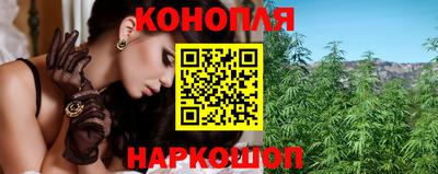 гашик Жуковский
