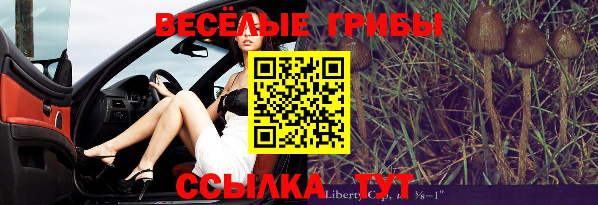 Псилоцибиновые грибы ЛСД Лабытнанги
