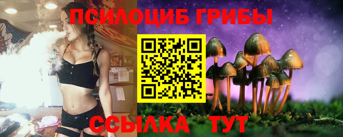 Псилоцибиновые грибы GOLDEN TEACHER  Вход с VPN  Лабытнанги  Псилоцибиновые грибы MAGIC MUSHROOMS 